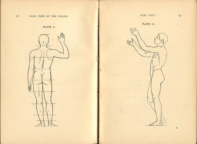Charles H. Weigall (1911), The Art of Figure Drawing, (Practical Instructions for a course of Study in this branch of Art), ‘Back and Side Views of the Figure’, from Weigall 1852. P. 16,17.